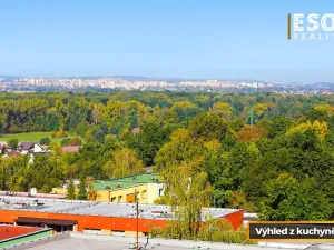 Prodej bytu 2+1, Ostrava, Lumírova, 61 m2