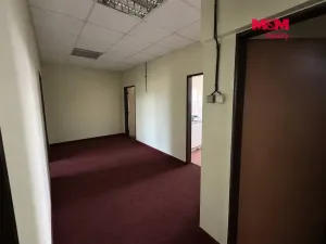 Pronájem komerční nemovitosti, Předměřice nad Labem, V Aleji, 356 m2