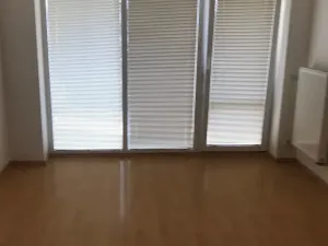 Pronájem bytu 1+kk, Olomouc, Peškova, 30 m2