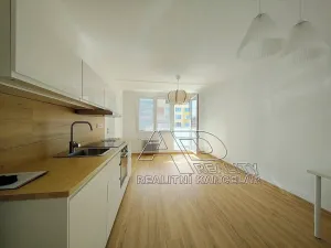Pronájem bytu 2+kk, České Budějovice, 49 m2