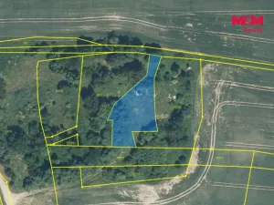 Prodej pozemku, Otov, 1320 m2