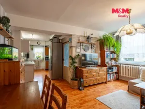 Prodej bytu 3+1, Benešov, Jiřího Horáka, 57 m2