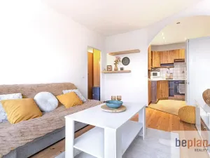 Prodej bytu 2+kk, Mladá Boleslav, 17. listopadu, 52 m2