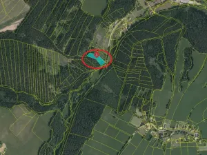 Prodej podílu lesa, Buk, 3198 m2
