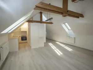 Pronájem bytu 2+kk, Plzeň, Bolevecká náves, 66 m2