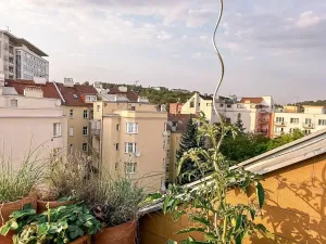 Pronájem bytu 3+kk, Brno, 62 m2
