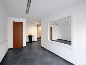 Pronájem obchodního prostoru, Hradec Králové, Vlčkovická, 700 m2