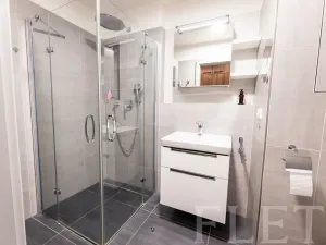 Pronájem bytu 1+kk, Praha - Karlín, Sokolovská, 31 m2