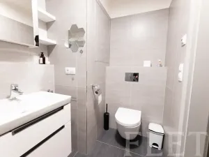 Pronájem bytu 1+kk, Praha - Karlín, Sokolovská, 31 m2