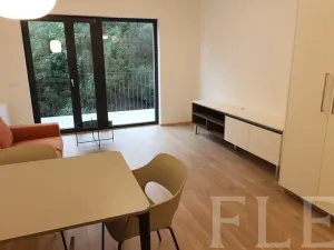 Pronájem bytu 1+kk, Praha - Žižkov, Hartigova, 38 m2