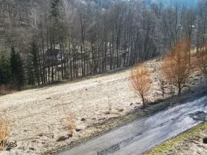 Prodej louky, Železný Brod, 4168 m2