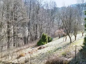 Prodej louky, Železný Brod, 4168 m2