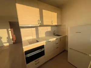Pronájem bytu 1+kk, Praha - Karlín, Nekvasilova, 27 m2