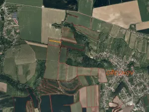 Dražba pole, Ořechov, 2077 m2