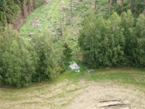 Dražba lesa, Kunžak, 2668 m2