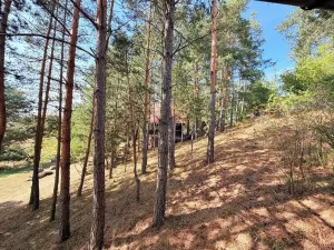 Prodej - jiné, Trnava, 107 m2