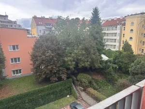 Prodej bytu 4+kk, Brno, Dřevařská, 172 m2