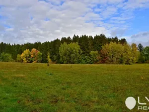 Prodej lesa, Řečice, 9184 m2