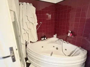 Pronájem bytu 3+kk, Olomouc, Hanáckého pluku, 90 m2