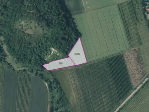 Prodej sadu/vinice, Želkovice, 16344 m2