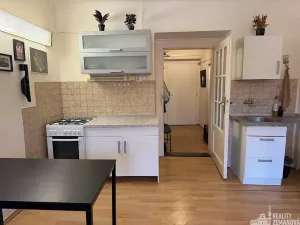 Pronájem bytu 1+1, Praha - Vinohrady, Řipská, 46 m2