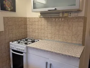 Pronájem bytu 1+1, Praha - Vinohrady, Řipská, 46 m2