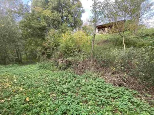 Prodej pozemku, Svijany, 1003 m2