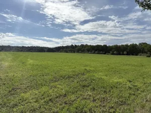 Prodej zahrady, Říčany, Do Lehovic, 2317 m2