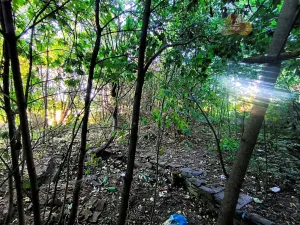 Prodej pozemku pro bydlení, Brodek u Konice, 3992 m2