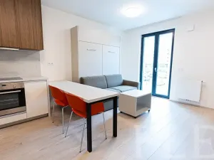 Pronájem bytu 1+kk, Praha - Žižkov, Hartigova, 32 m2