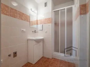 Prodej bytu 2+1, Praha - Vinohrady, Fričova, 55 m2