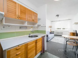 Pronájem bytu 2+kk, Teplice, V závětří, 41 m2