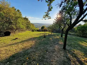 Prodej pozemku pro bydlení, Brno, Travní, 1535 m2