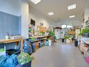Prodej obchodního prostoru, Olomouc, tř. Míru, 140 m2