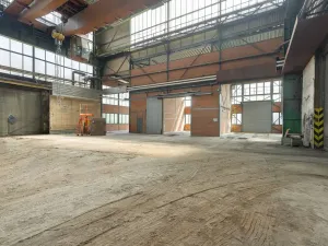 Prodej výrobních prostor, Ostrava, 9648 m2