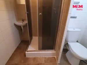 Pronájem bytu 1+kk, Most, Česká, 33 m2