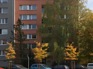 Prodej bytu 1+1, Frýdek-Místek - Frýdek, Bruzovská, 37 m2