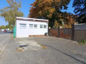 Pronájem obchodního prostoru, Plzeň, 38 m2