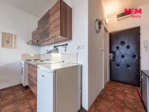 Prodej bytu 1+1, Strakonice - Strakonice I, Máchova, 37 m2