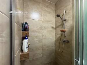 Pronájem bytu 2+1, Teplice, Jankovcova, 50 m2