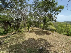 Prodej pozemku, Coxen Hole, Roatán, Honduras, 1884 m2
