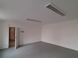 Pronájem komerční nemovitosti, Lužany, 50 m2
