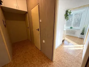 Prodej bytu 1+1, Brno - Lesná, Nejedlého, 38 m2