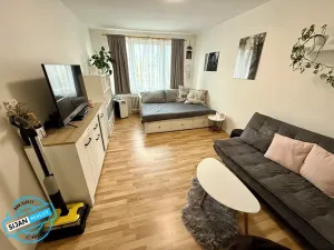 Pronájem bytu 1+1, Opava, 38 m2