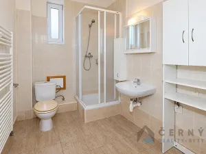 Pronájem bytu 2+1, Liberec, Americká, 60 m2