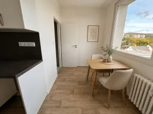 Pronájem bytu 2+1, Litvínov, Rooseveltova, 61 m2
