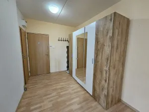 Pronájem bytu 3+1, Město Touškov, U Stadionu, 63 m2
