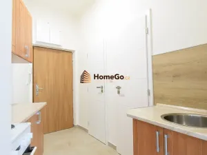 Pronájem bytu 1+kk, Praha - Nusle, Žateckých, 30 m2