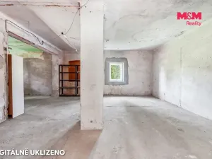 Prodej obchodního prostoru, Děčín - Děčín I-Děčín, Krokova, 293 m2