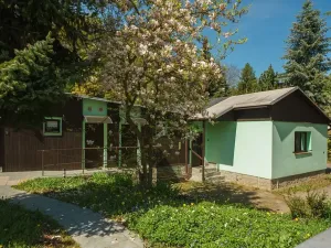 Prodej vícegeneračního domu, Dubí, Údolí, 450 m2